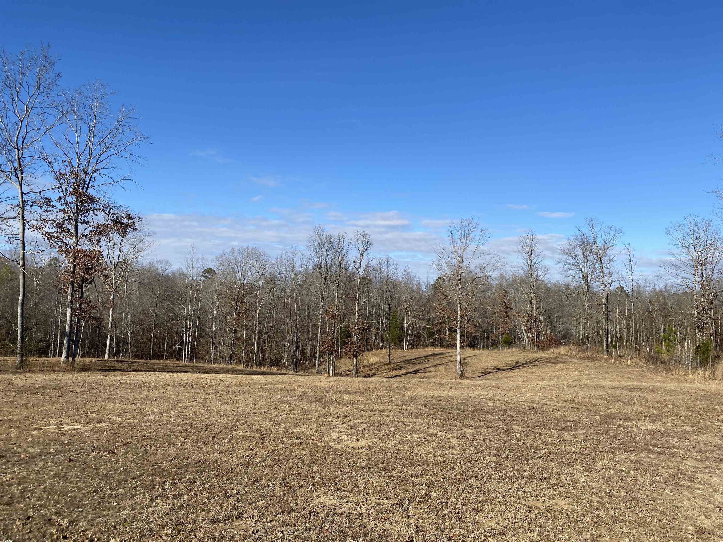 a view of a field with trees in the background