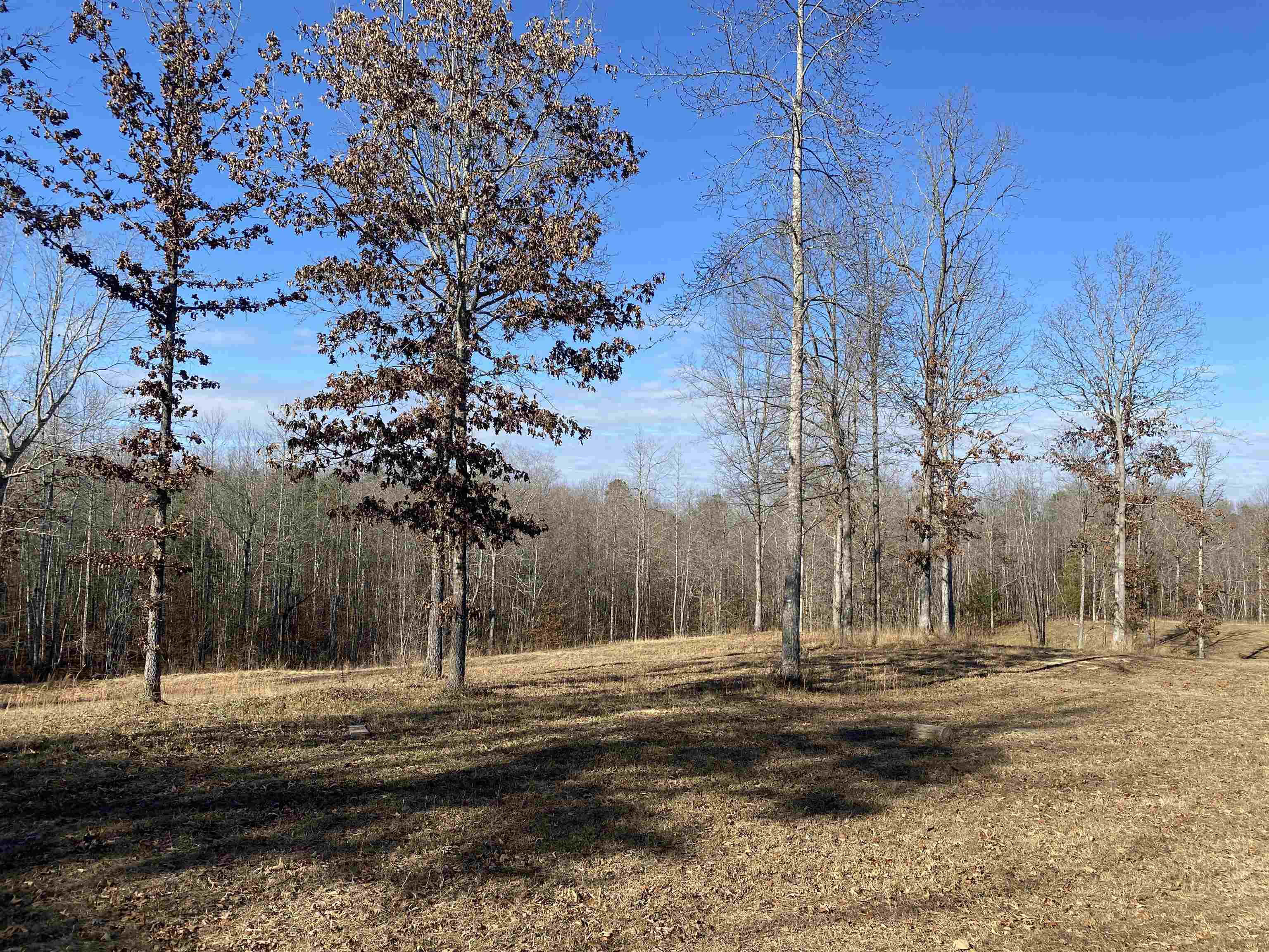 675 Jones Road Savannah, TN 38372 - Photo 12 of 40 a view of dirt yard