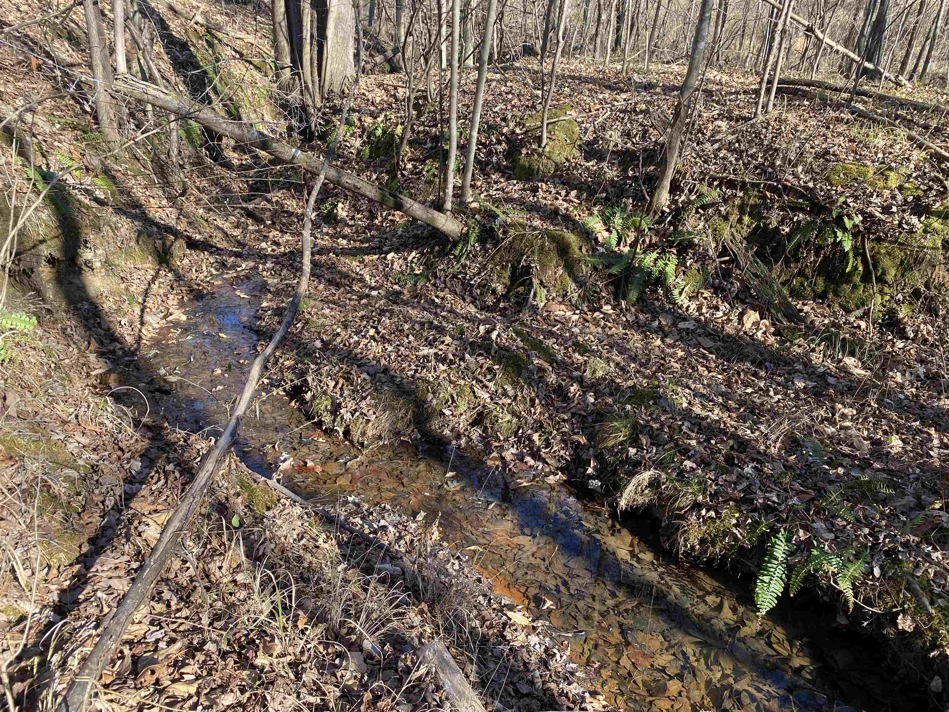 675 Jones Road Savannah, TN 38372 - Photo 17 of 40 a view of outdoor space