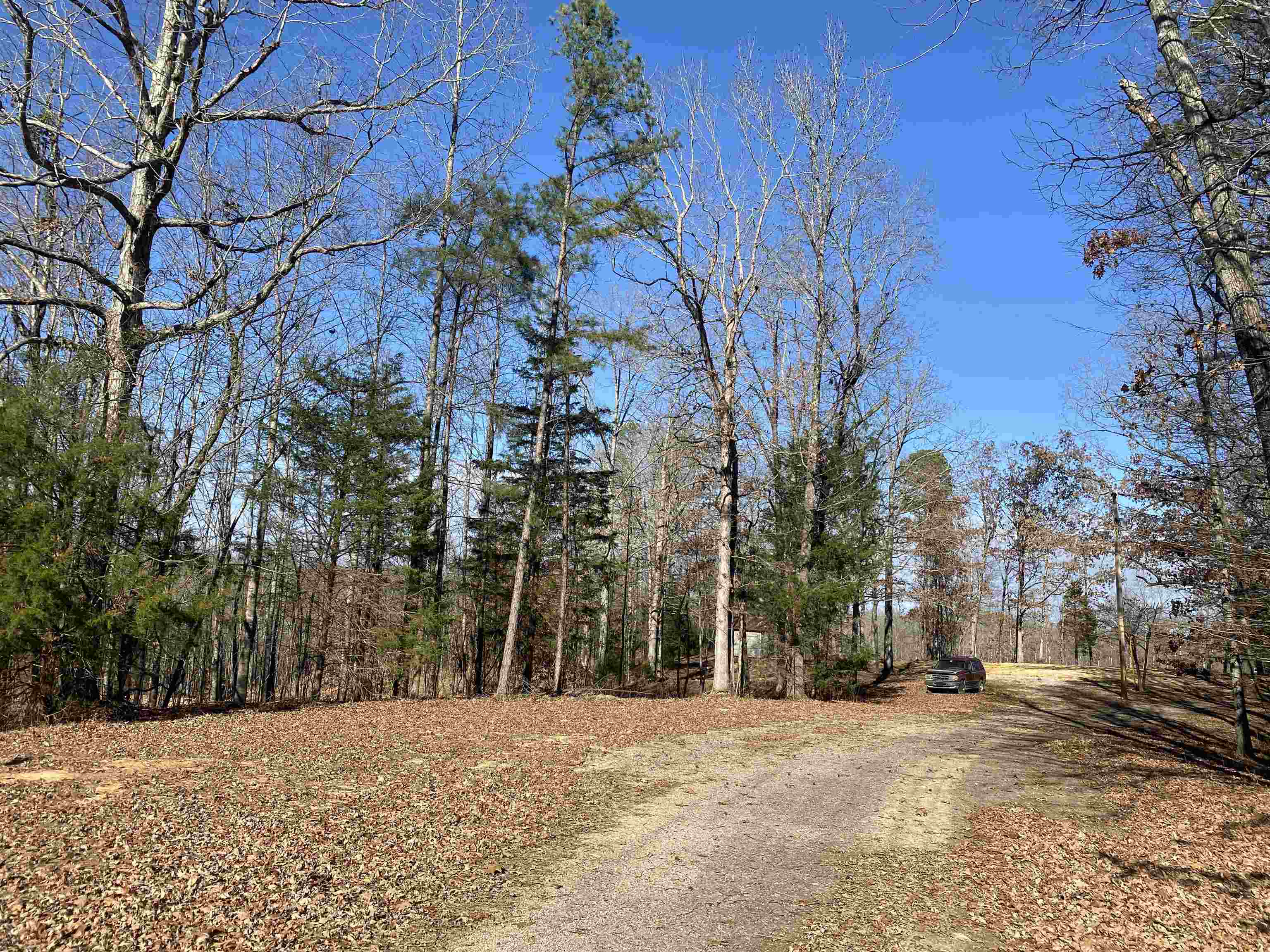 675 Jones Road Savannah, TN 38372 - Photo 20 of 40