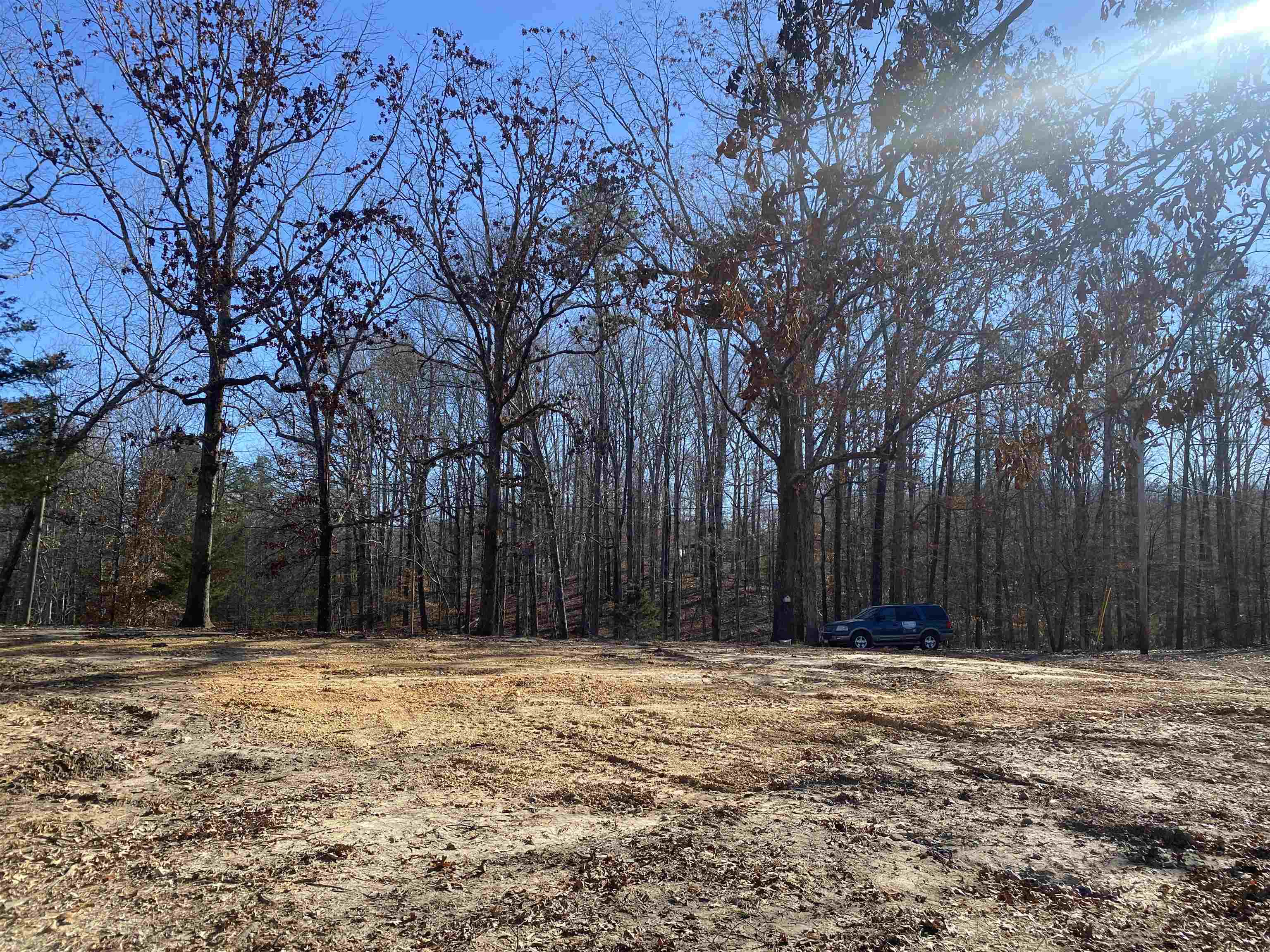 675 Jones Road Savannah, TN 38372 - Photo 23 of 40 a house with trees in front of it