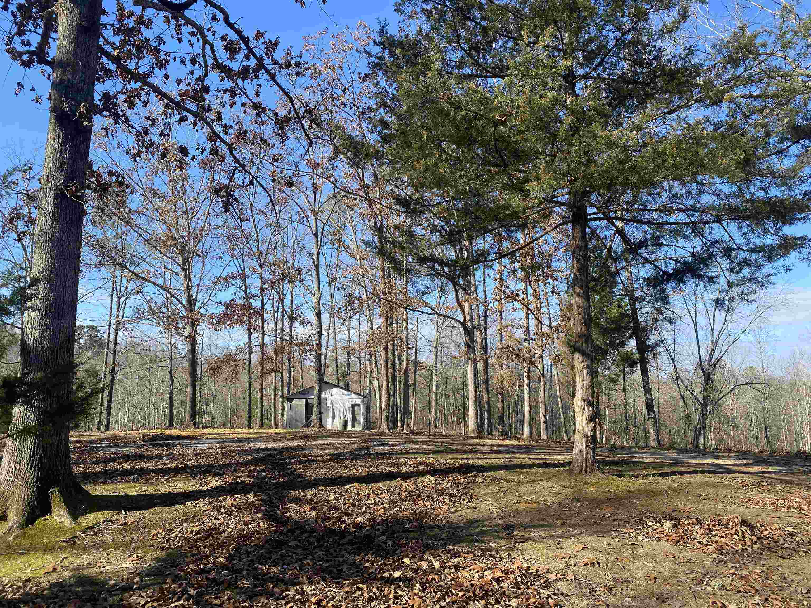 675 Jones Road Savannah, TN 38372 - Photo 26 of 40 a view of street with wooden fence