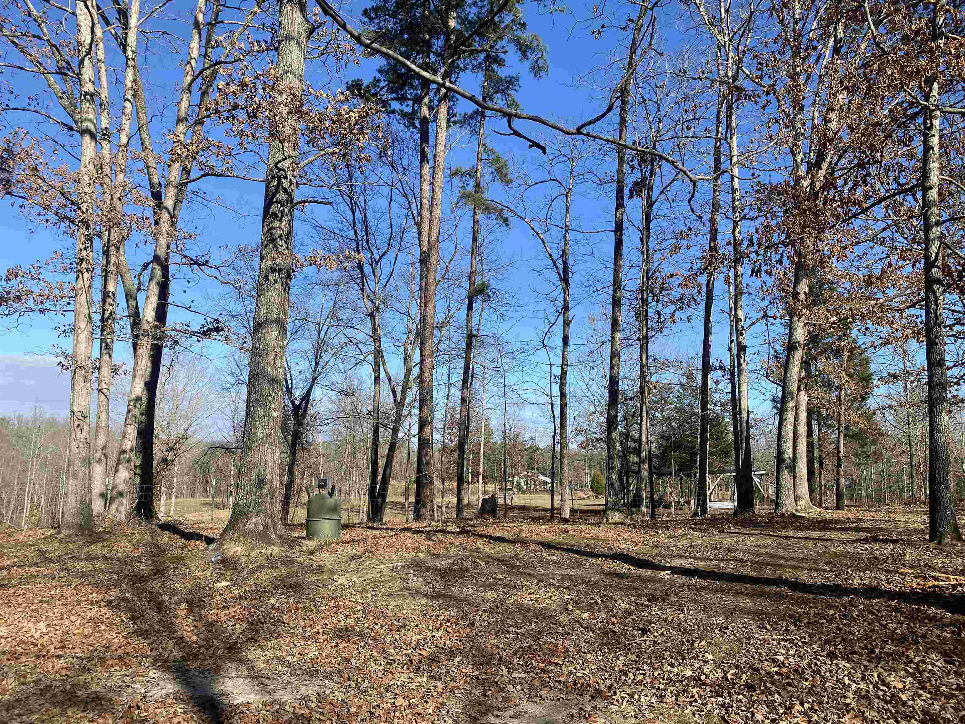 675 Jones Road Savannah, TN 38372 - Photo 27 of 40 a view of a yard with a trees