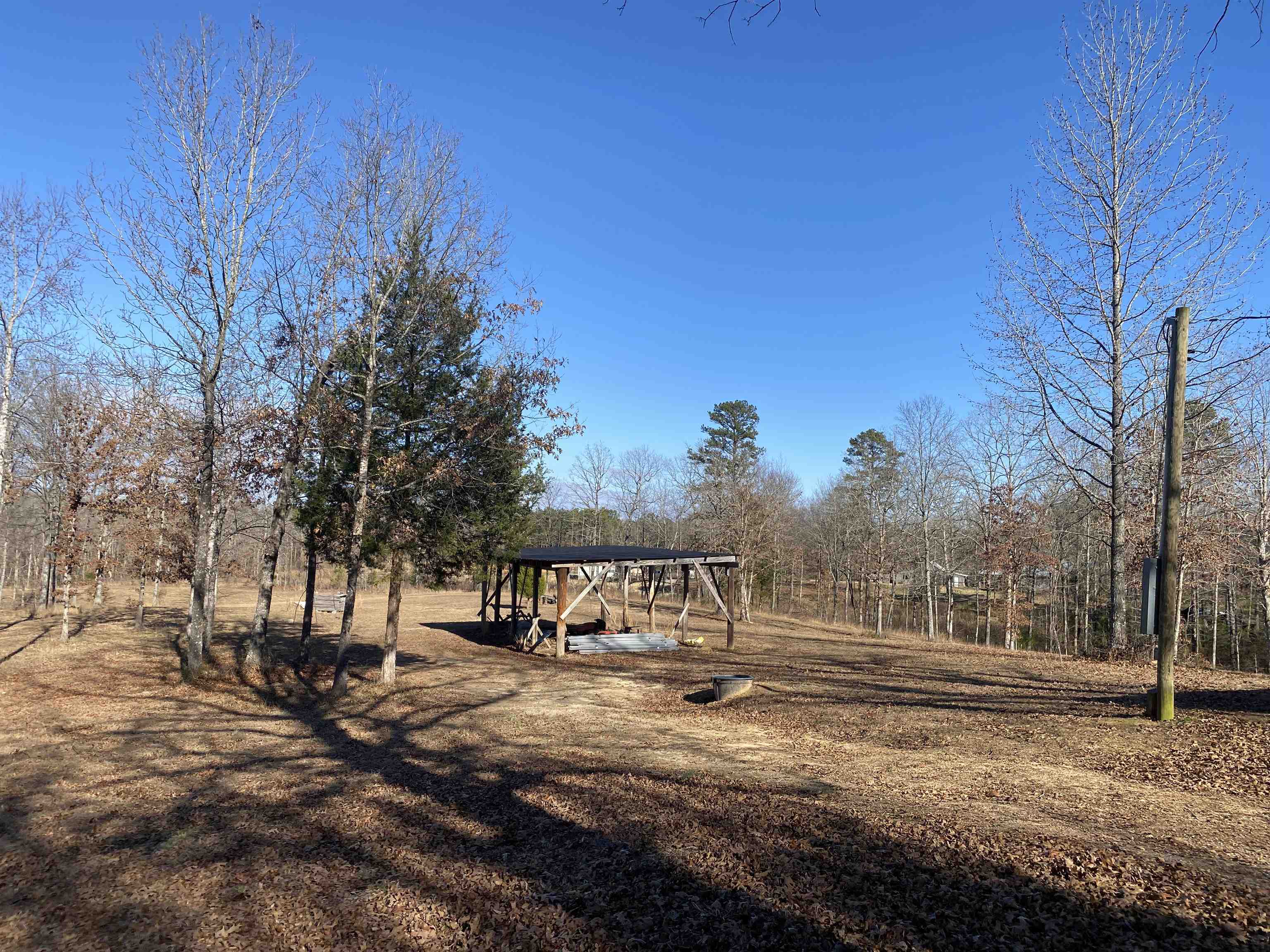 675 Jones Road Savannah, TN 38372 - Photo 29 of 40 a view of yard with tree in the background