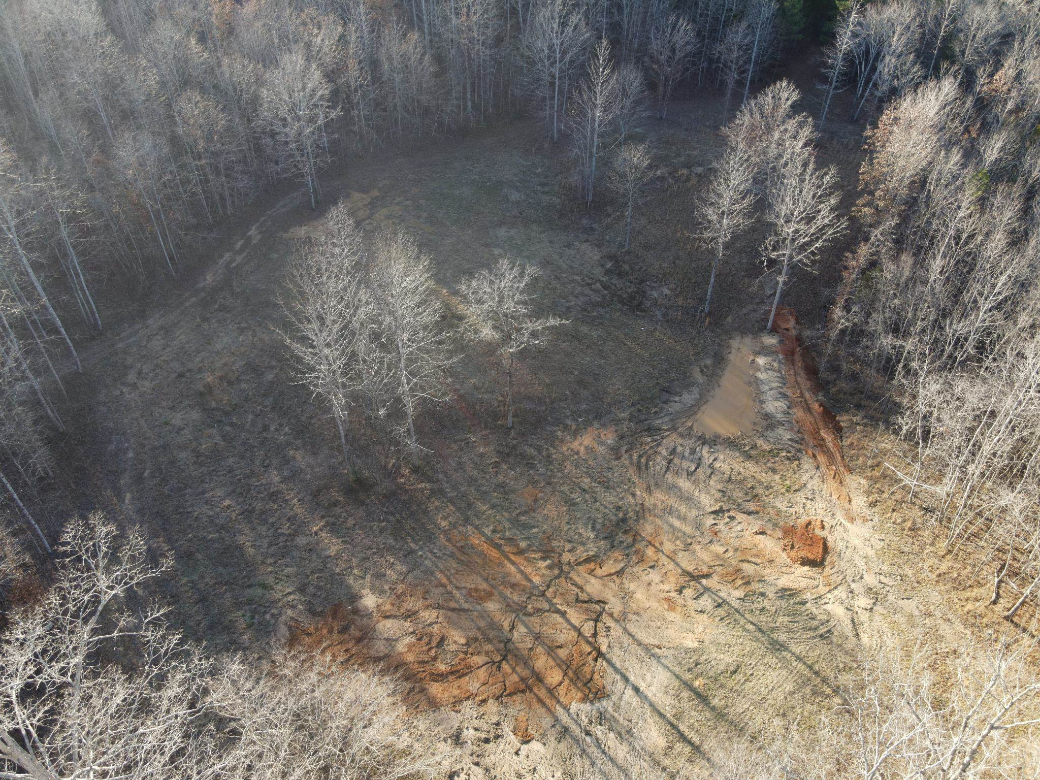 675 Jones Road Savannah, TN 38372 - Photo 3 of 40 a view of a backyard of a house