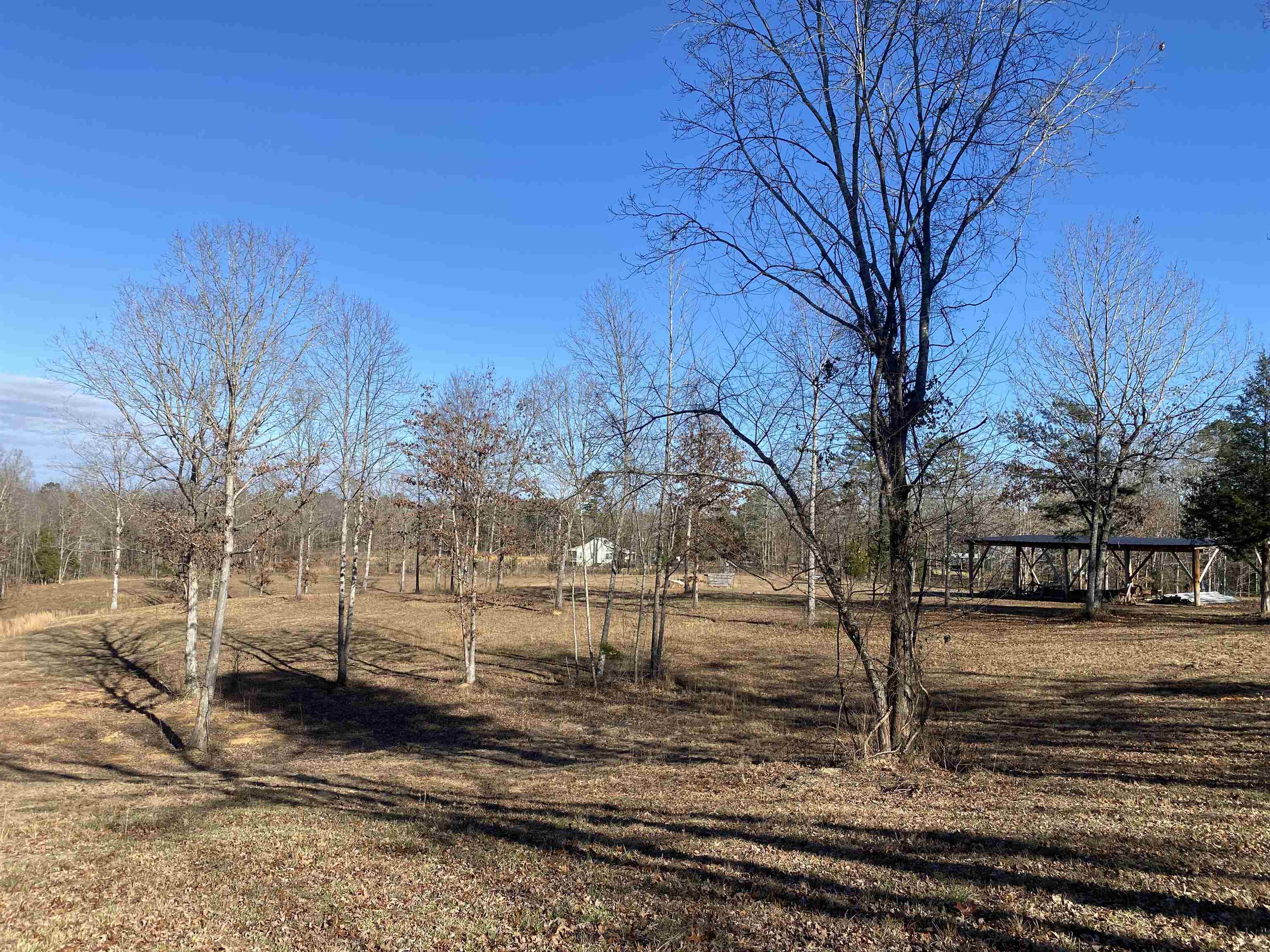 675 Jones Road Savannah, TN 38372 - Photo 31 of 40 a view of yard covered with snow in front of house
