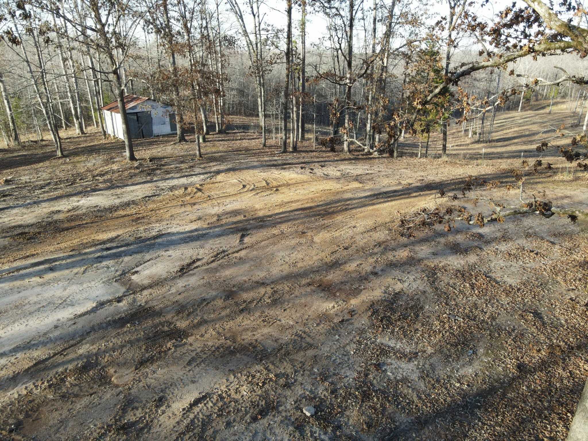 675 Jones Road Savannah, TN 38372 - Photo 39 of 40 a view of a yard with large trees