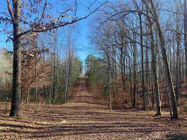 a view of a backyard of the house