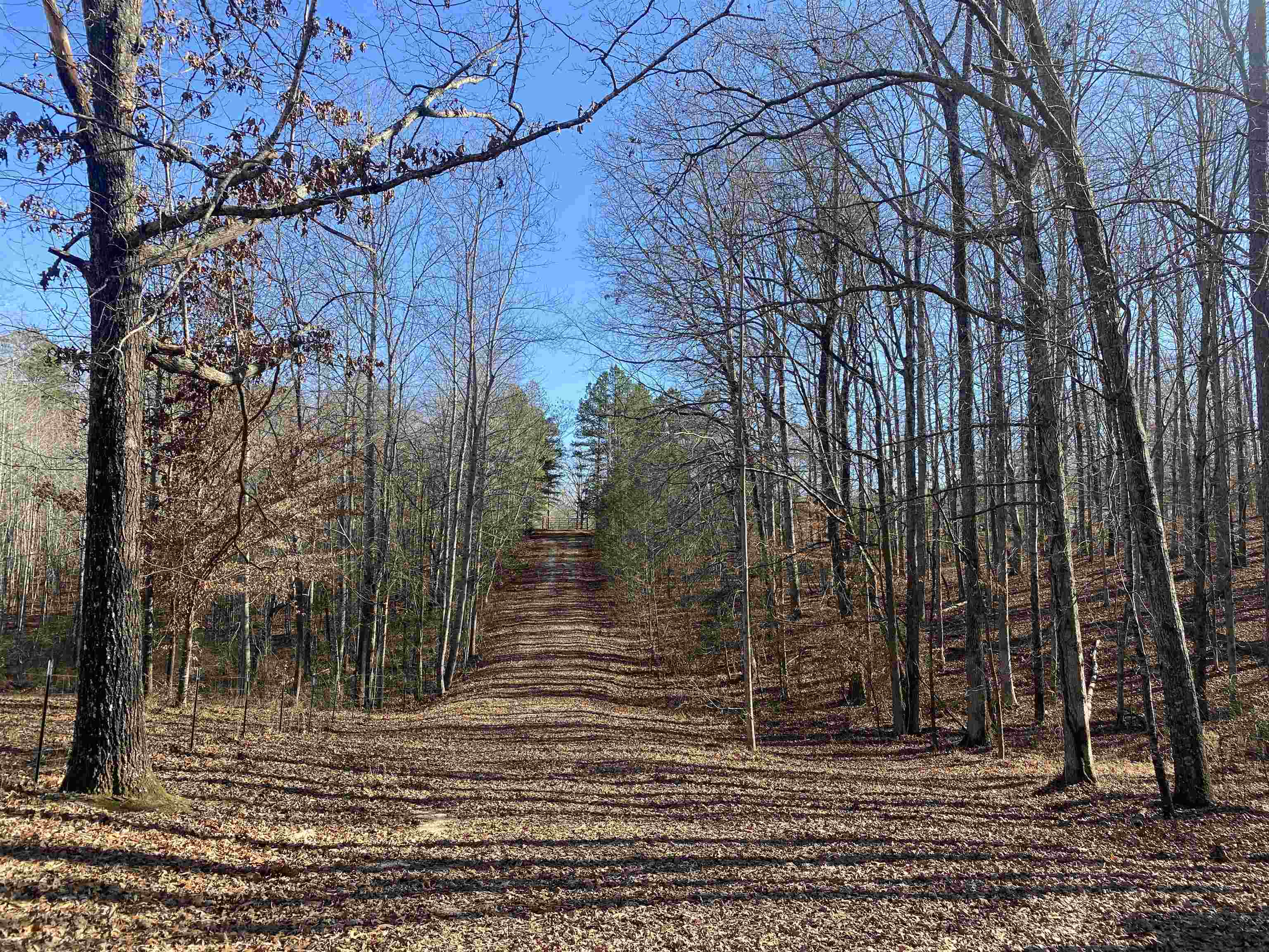 675 Jones Road Savannah, TN 38372 - Photo 4 of 40 a view of a backyard of the house