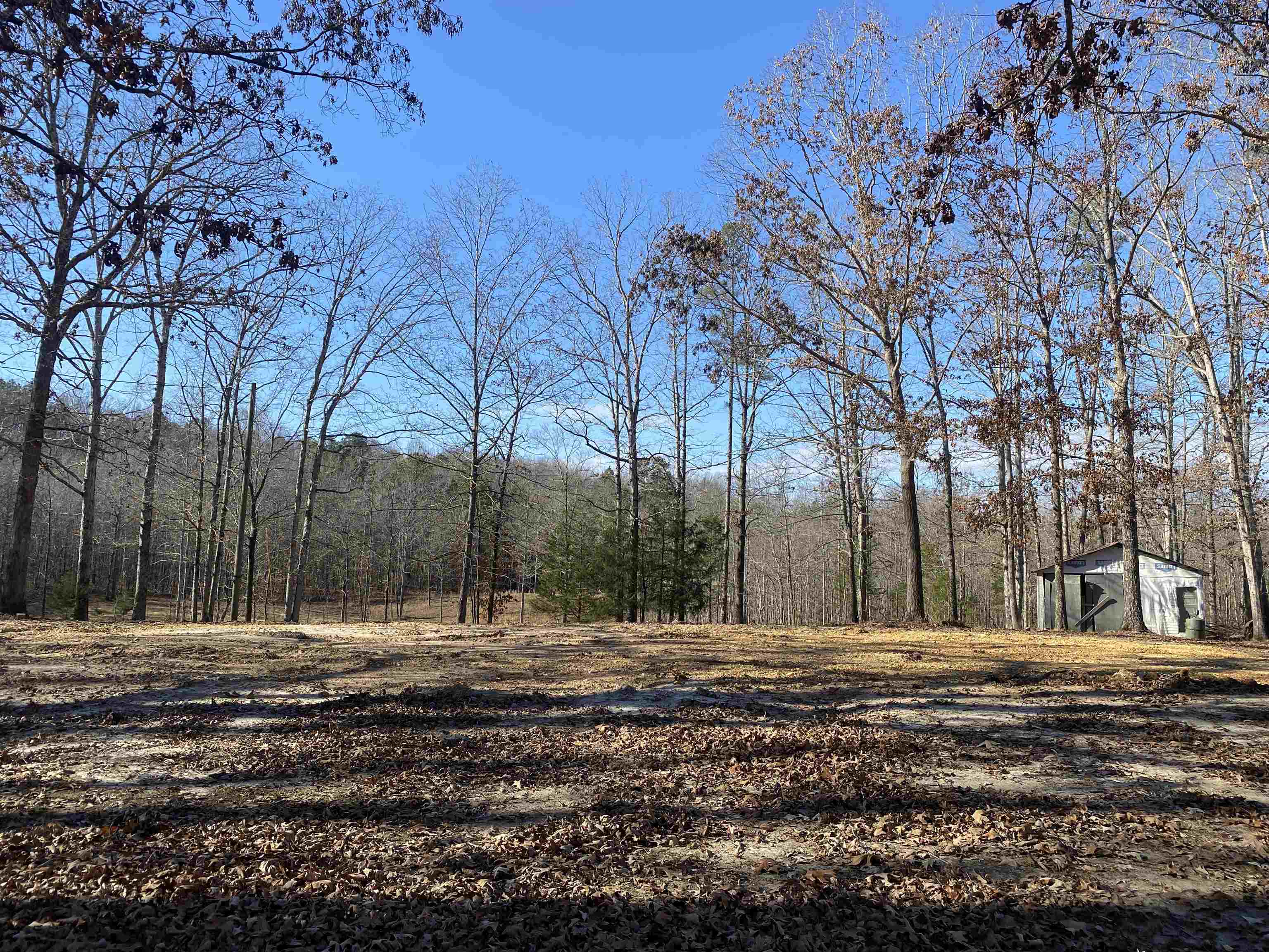 675 Jones Road Savannah, TN 38372 - Photo 5 of 40 a backyard of a house with lots of green space