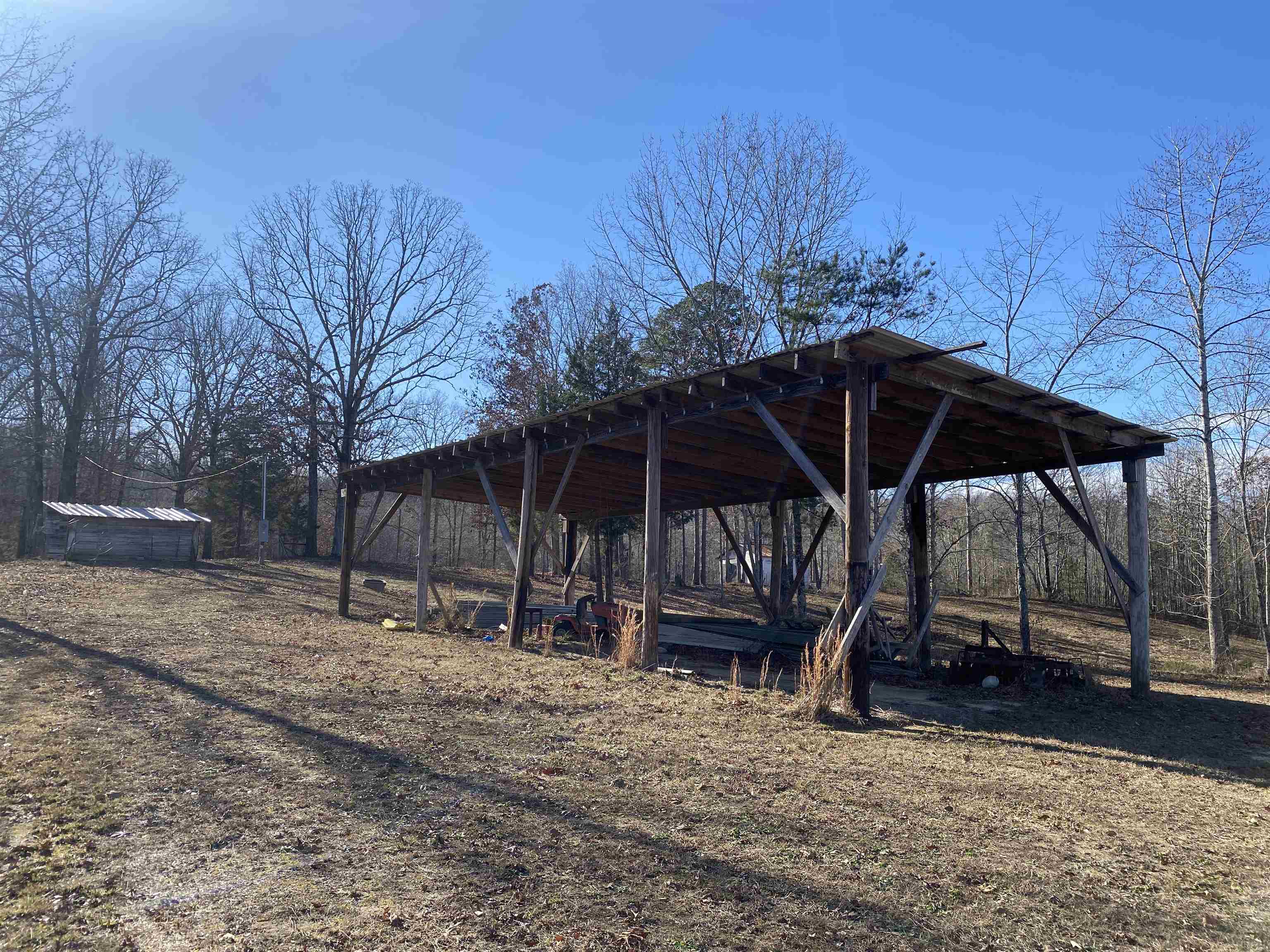 675 Jones Road Savannah, TN 38372 - Photo 8 of 40 a view of backyard with small cabin