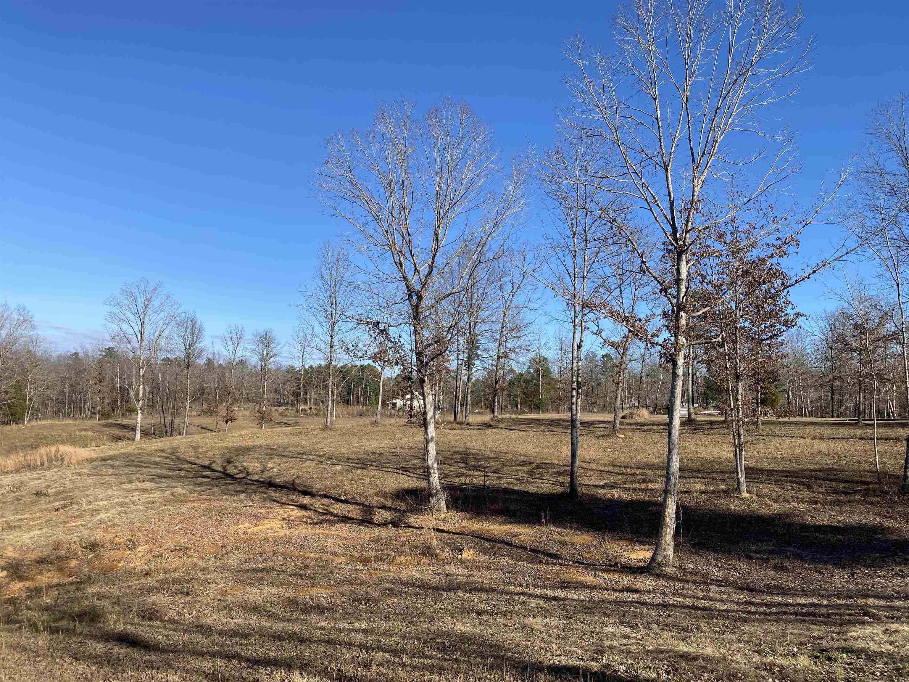 675 Jones Road Savannah, TN 38372 - Photo 10 of 40 a view of a yard with wooden fence