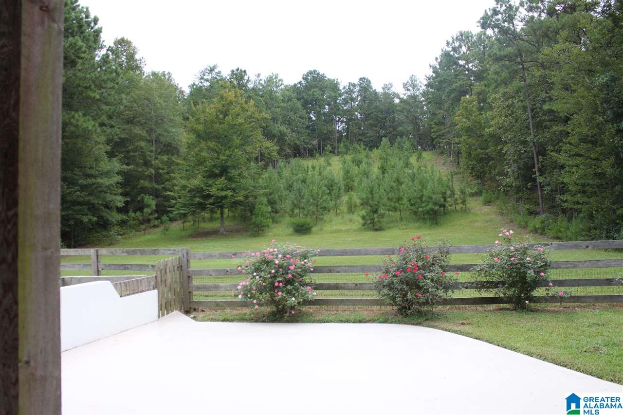 592 County Road 43 Clanton, AL 35046 - Photo 23 of 30