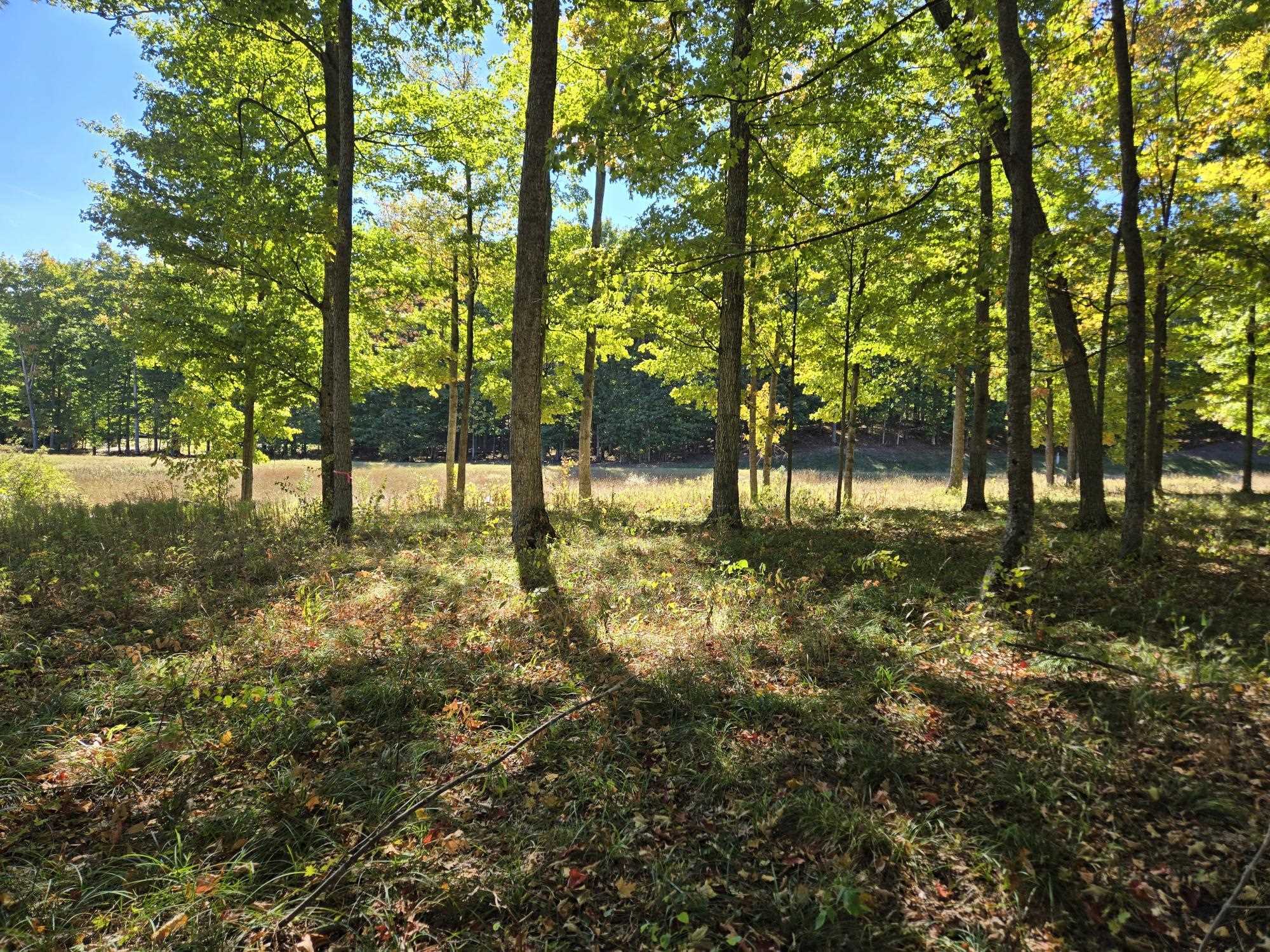 24 Heather Ridge Trail Beulah, MI 49617 - Photo 6 of 11