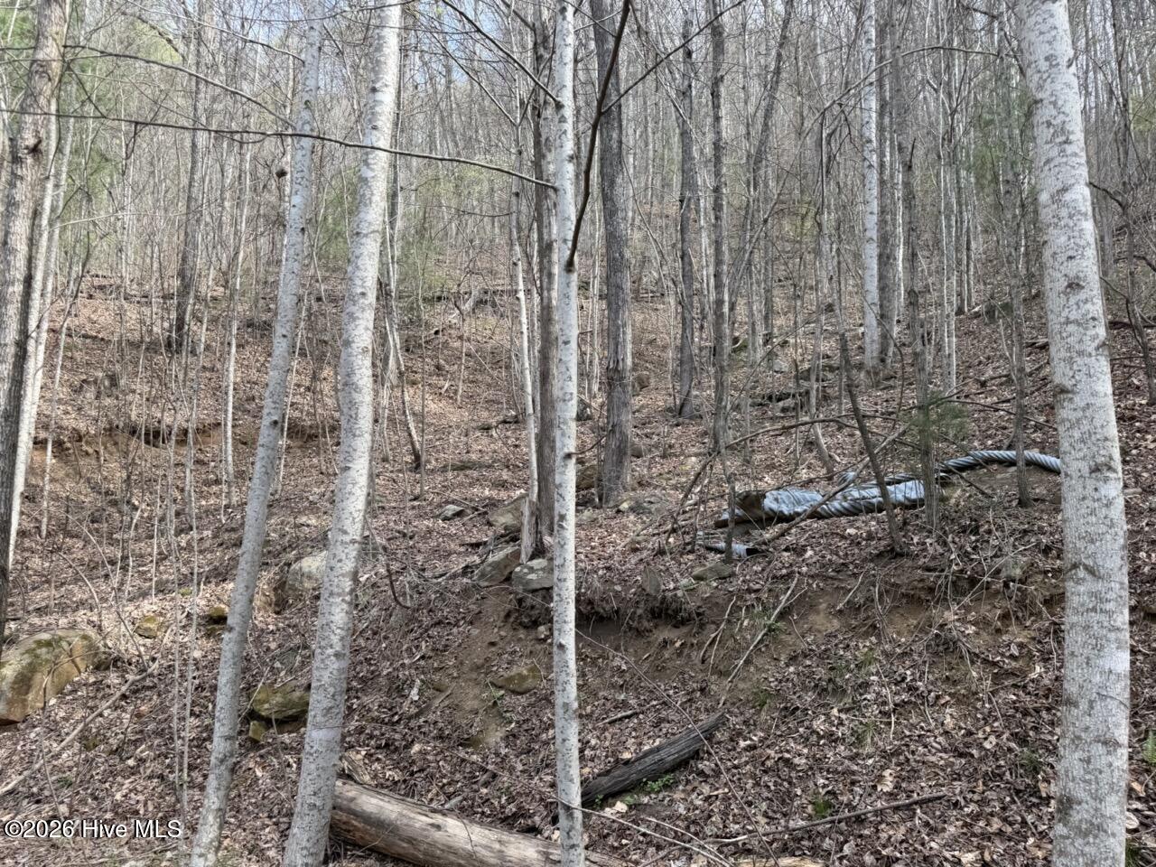 0 Ogreeta Road Murphy, NC 28906 - Photo 15 of 47