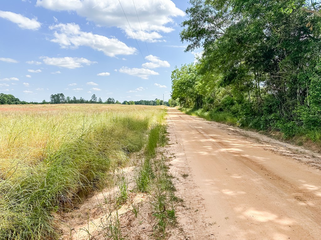0 Travis Wise Road Samson, AL 36477 - Photo 16 of 21