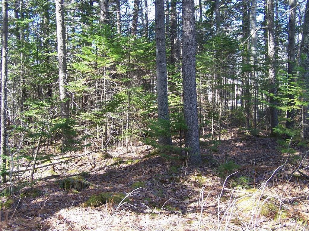 0 Snowball Hill Road New Harbor, ME 04554 - Photo 2 of 8 Photo