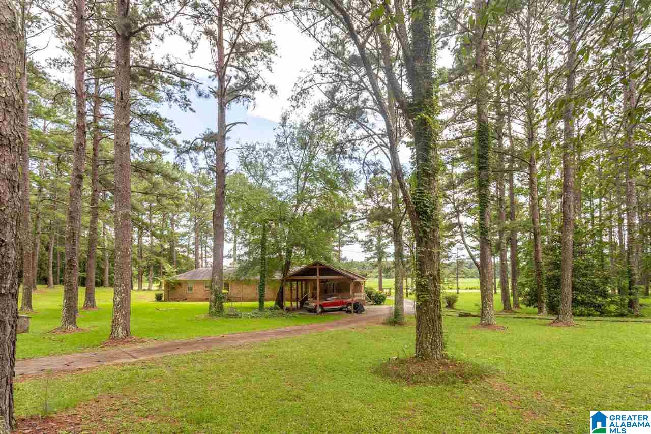 720 East Renfroe Road Talladega, AL 35160 - Photo 39 of 41