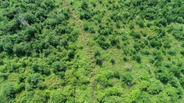 $204,900 | 31493 480th Street, Palisade, MN 56469