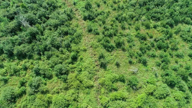 $204,900 | 31493 480th Street, Palisade, MN 56469