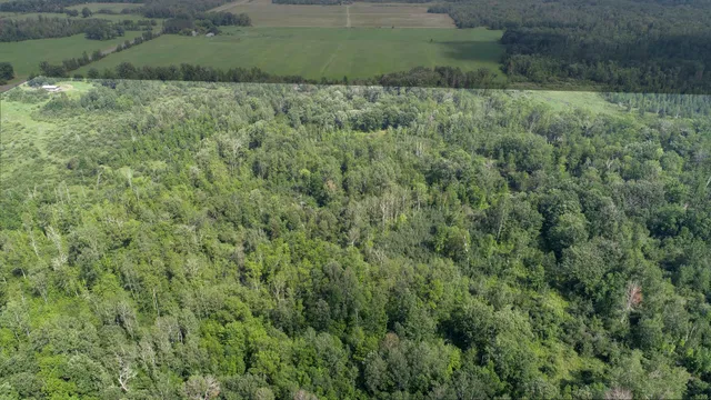 $204,900 | 31493 480th Street, Palisade, MN 56469