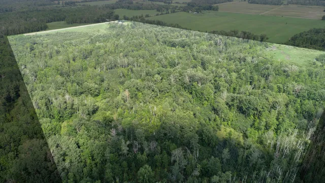 $204,900 | 31493 480th Street, Palisade, MN 56469