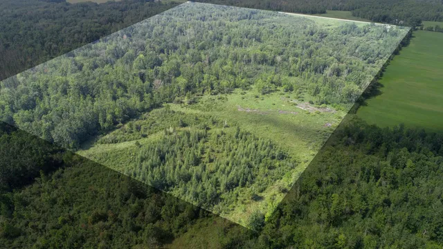 $204,900 | 31493 480th Street, Palisade, MN 56469