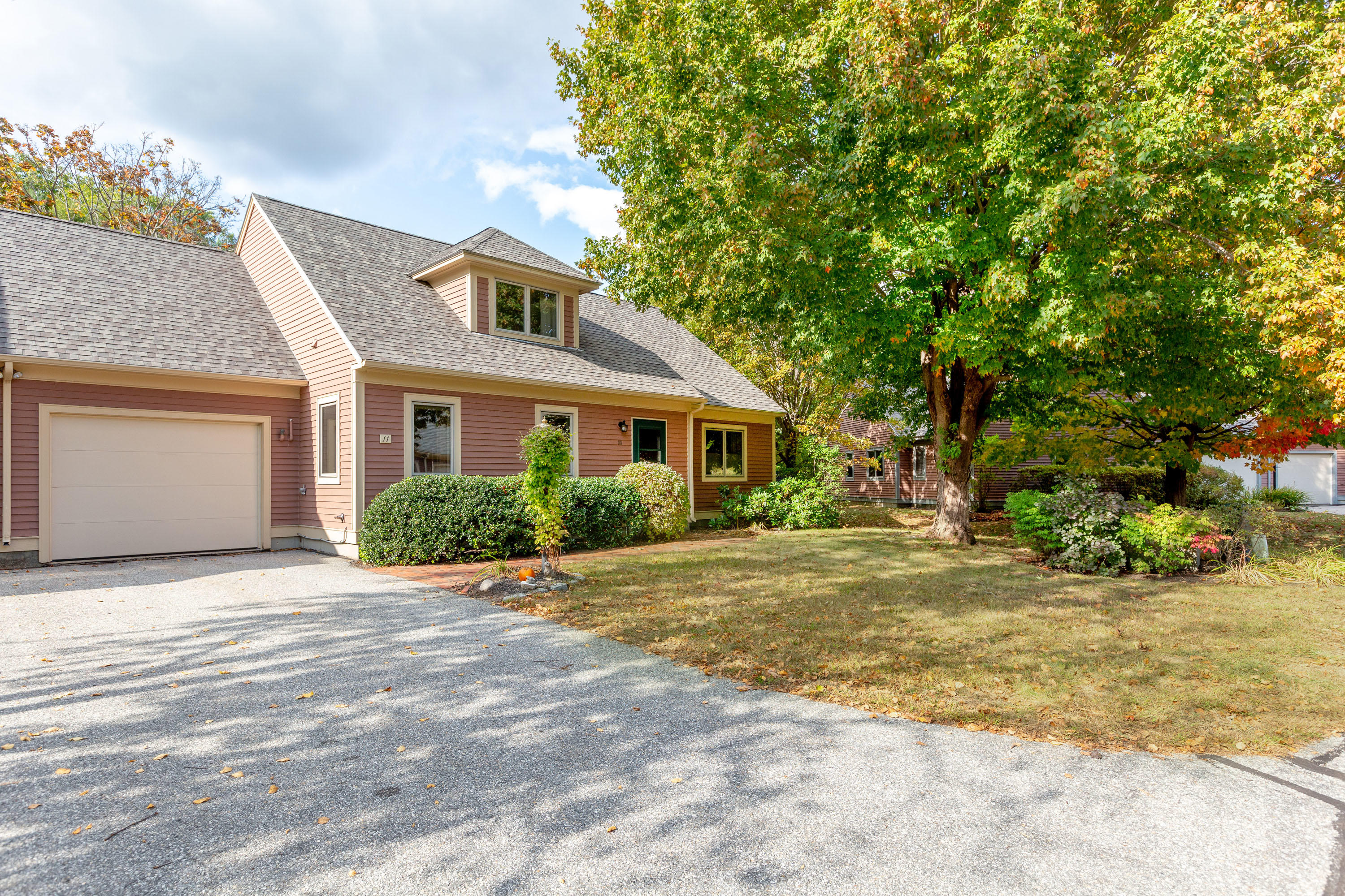 Birch Meadow_Millett_01