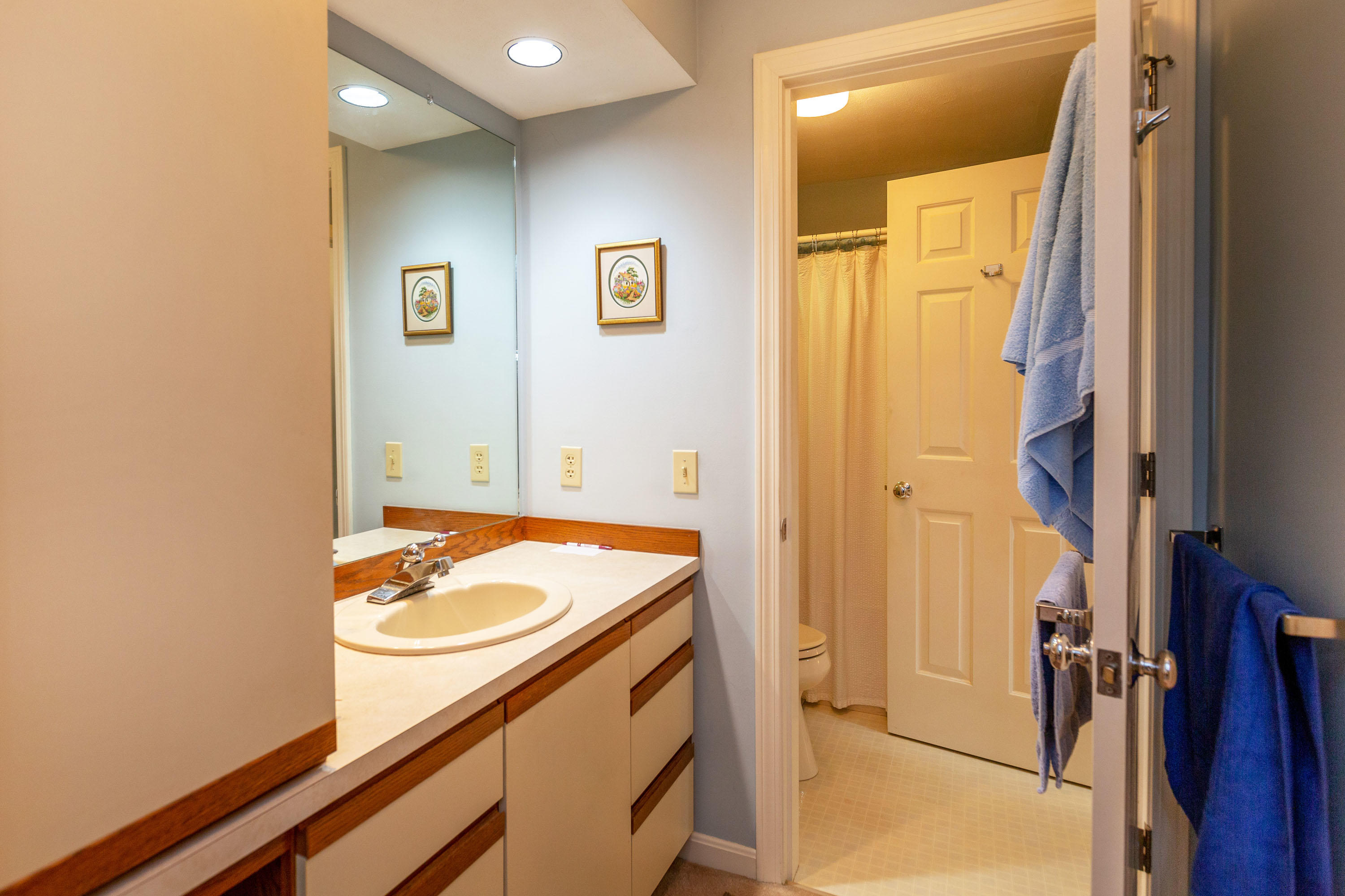 11 Birch Meadow Road, Unit 11 Brunswick, ME 04011 - Photo 26 of 42 Birch Meadow_Millett_28