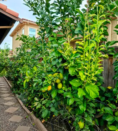 $719,999 | 3548 Rapallo Way, Manteca, CA 95337