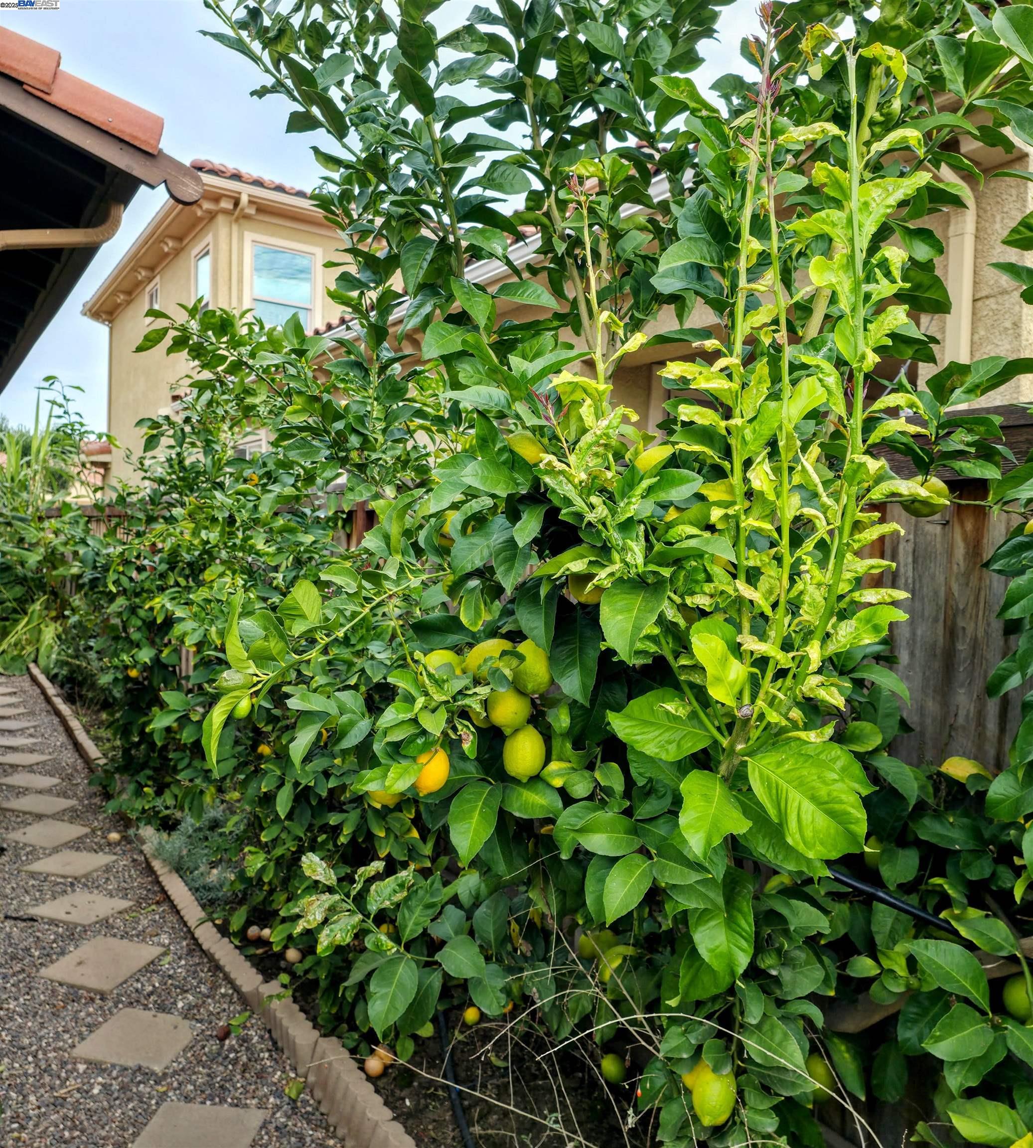 3548 Rapallo Way Manteca, CA 95337 - Photo 46 of 51