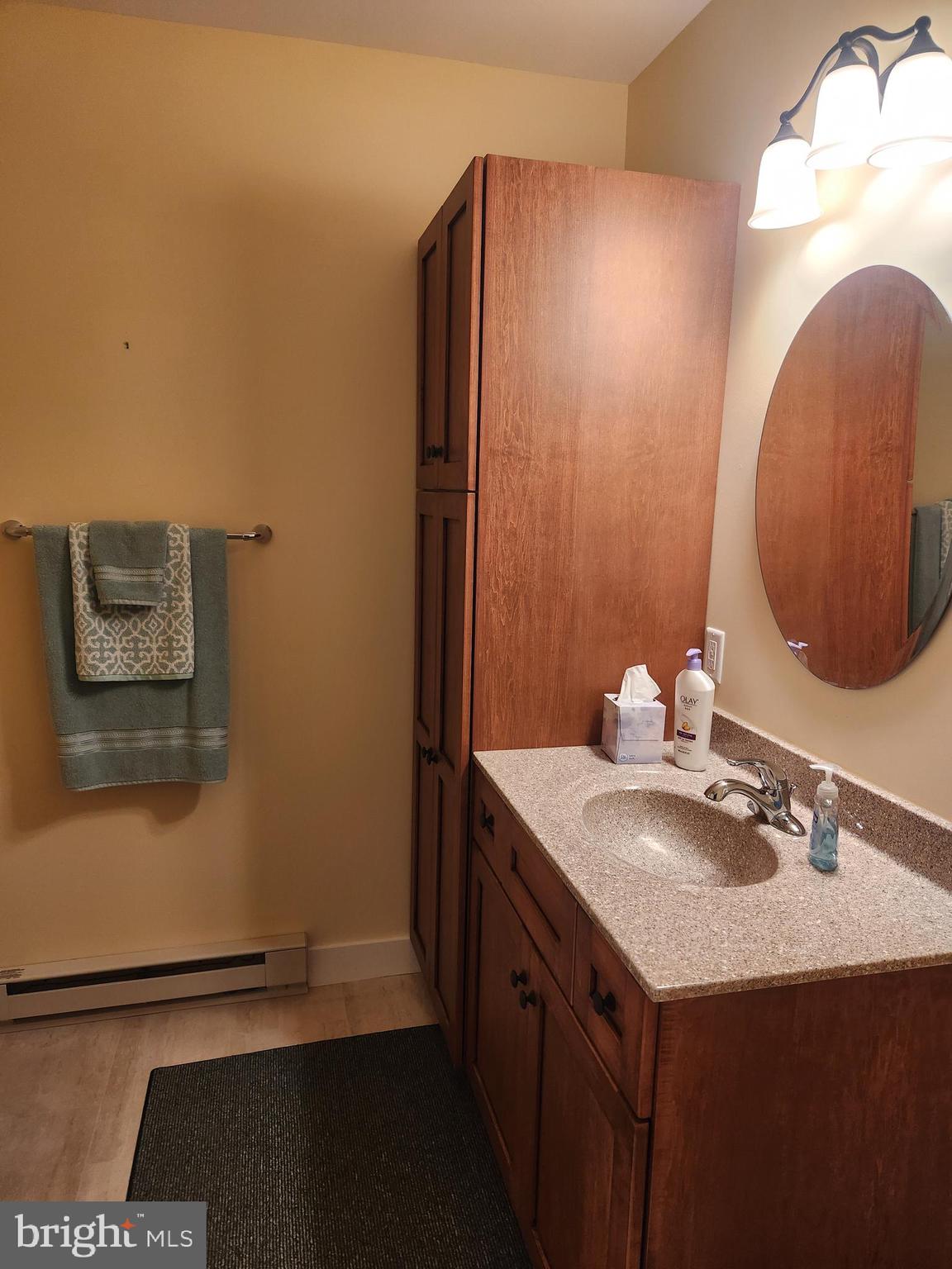 123 North 11th Street Akron, PA 17501 - Photo 39 of 43 a bathroom with a sink and a mirror