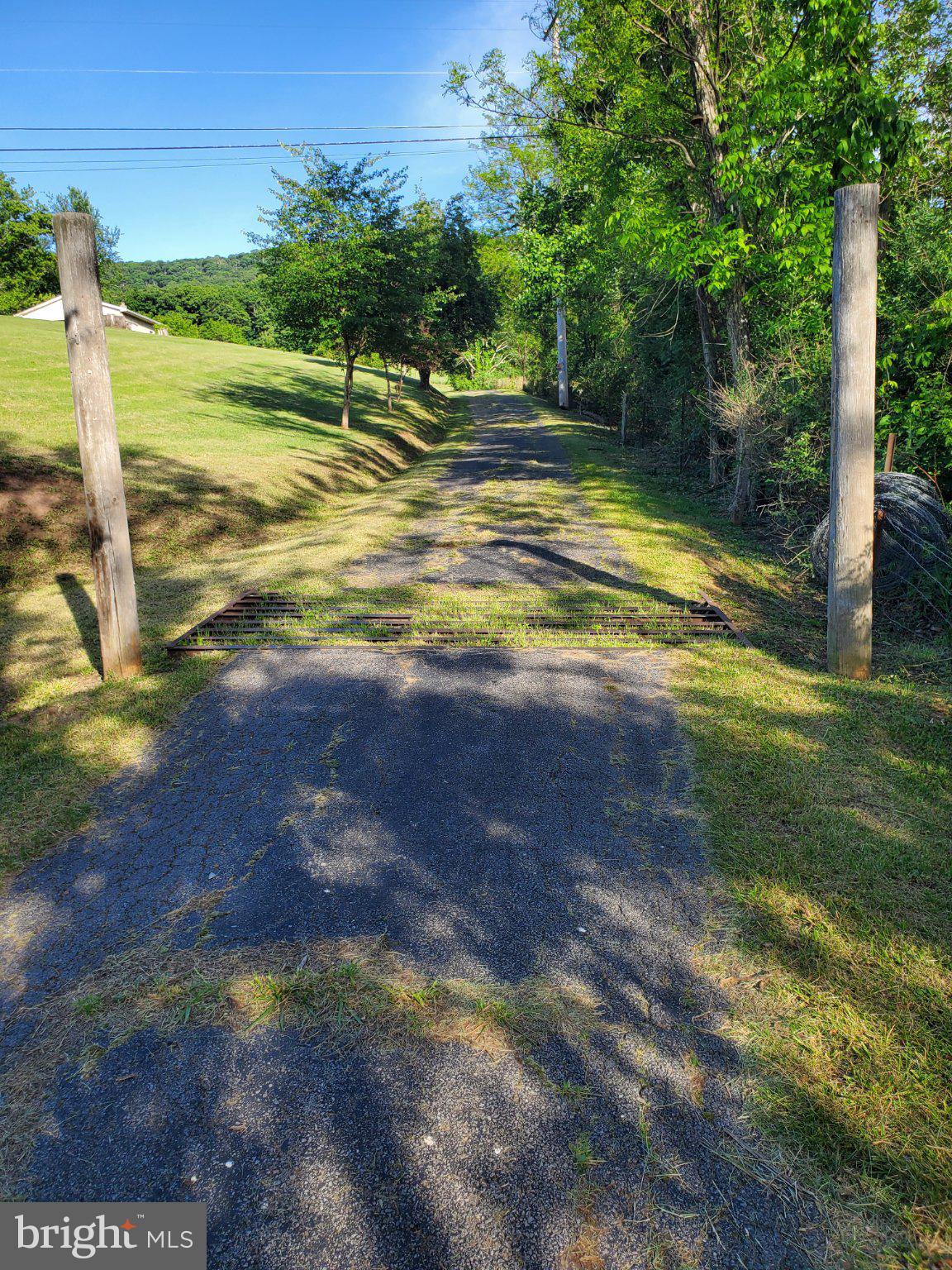 7881 Ford Hill Road Rio, WV 26755 - Photo 20 of 27 Serene pathway through lush greenery.