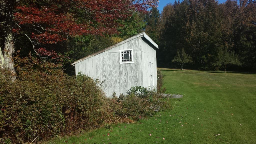 325 Goding Road Livermore, ME 04253 - Photo 26 of 35 Two more bearing apple trees on back...