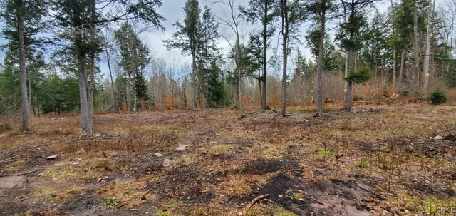 $999,900 | 160 Breckheimer Road, West Monroe, NY 13036