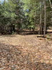 160 Breckheimer Road West Monroe, NY 13036 - Photo 12 of 14