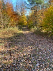 160 Breckheimer Road West Monroe, NY 13036 - Photo 14 of 14