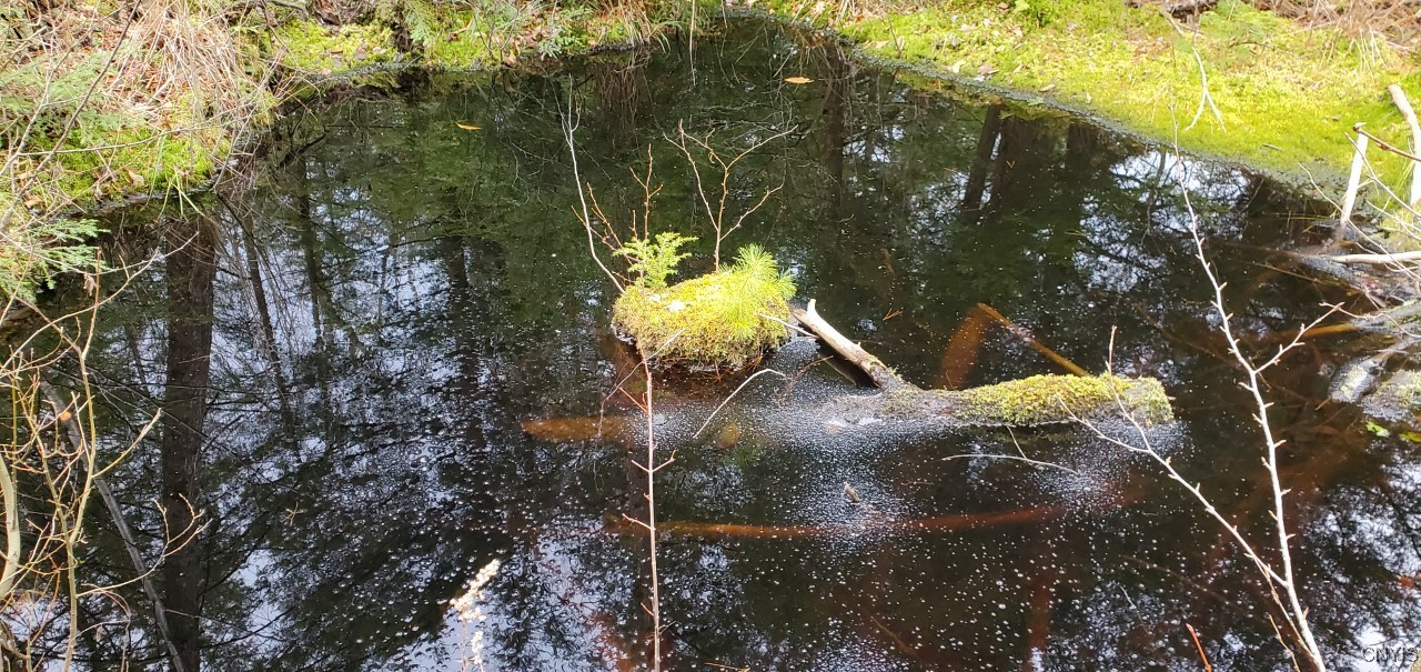 160 Breckheimer Road West Monroe, NY 13036 - Photo 5 of 14