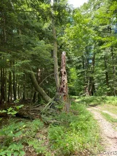 $999,900 | 160 Breckheimer Road, West Monroe, NY 13036