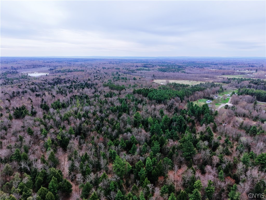 160 Breckheimer Road West Monroe, NY 13036 - Photo 8 of 41