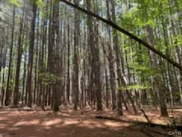 $999,900 | 160 Breckheimer Road, West Monroe, NY 13036