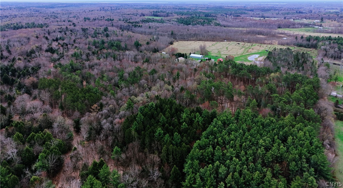 160 Breckheimer Road West Monroe, NY 13036 - Photo 9 of 41