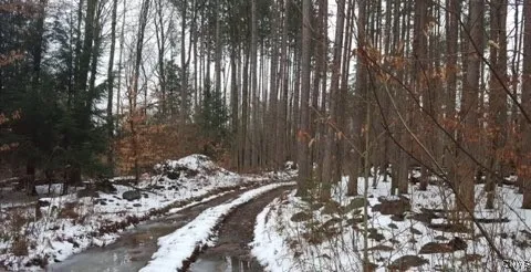 $999,900 | 160 Breckheimer Road, West Monroe, NY 13036