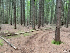 160 Breckheimer Road West Monroe, NY 13036 - Photo 10 of 14