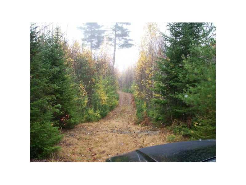 450 Smith Road Brownville, ME 04414 - Photo 4 of 4 Land/Lot.