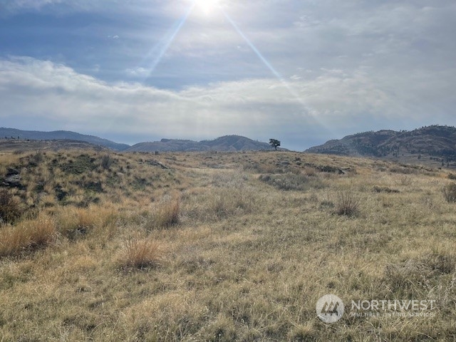 0 McLaughlin Canyon Road Riverside, WA 98849 - Photo 5 of 16 Gallery Image 5