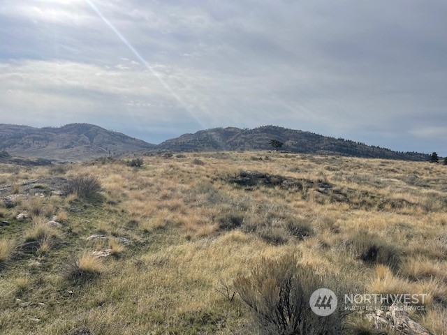 0 McLaughlin Canyon Road Riverside, WA 98849 - Photo 6 of 16 Gallery Image 6