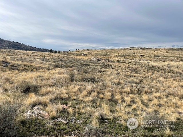 0 McLaughlin Canyon Road Riverside, WA 98849 - Photo 7 of 16 Gallery Image 7