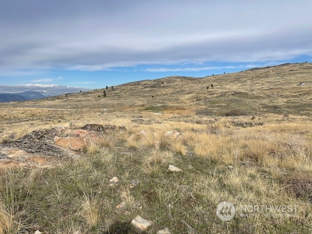 0 McLaughlin Canyon Road Riverside, WA 98849 - Photo 10 of 16 Gallery Image 10