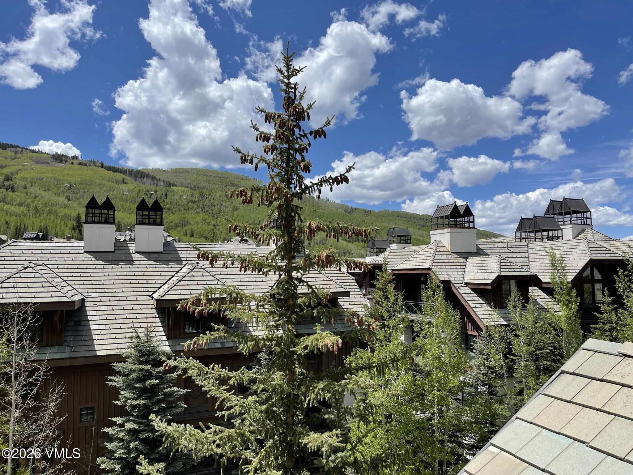 210 Offerson Road, Unit 10514 Beaver Creek, CO 81620 - Photo 22 of 28 IMG_3212